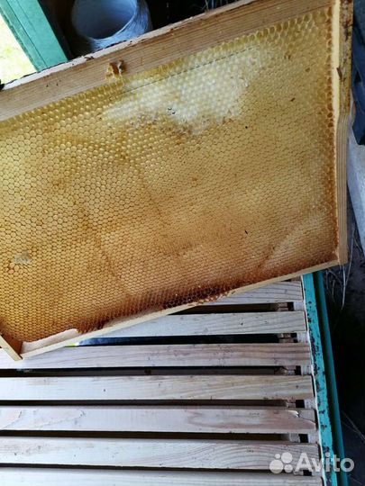 Инвентарь для пчеловодства