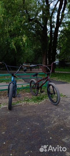 Bmx tech team grasshopper