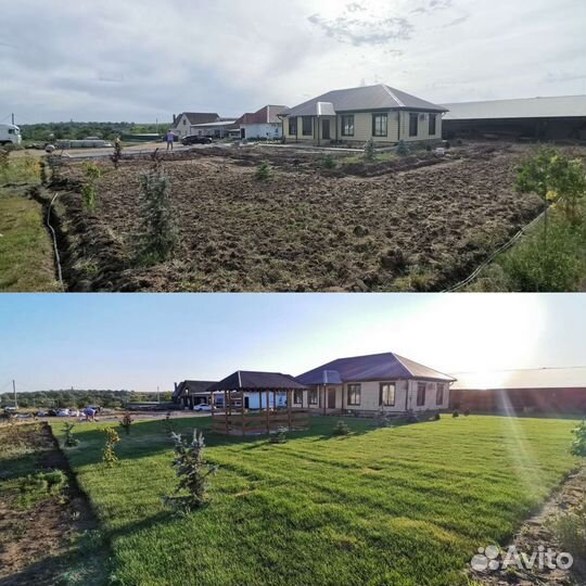 Рулонный газон с укладкой