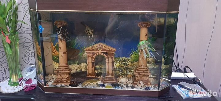 Аквариум
