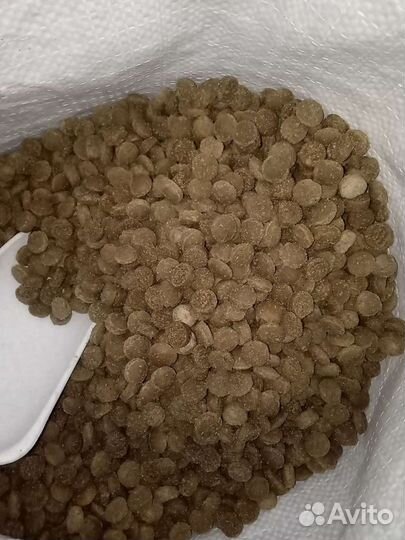 Корм для собак и кошек