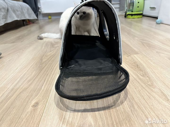 Кошачья сумка