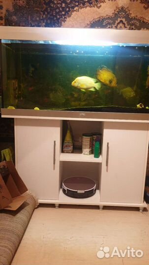 Аквариум