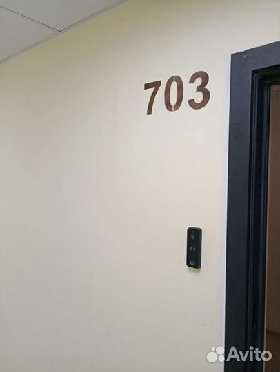 Установка видео, трубка и скуд