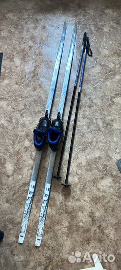 Беговые лыжи