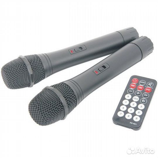 Активная акустика с микрофонами в комплекте, 12