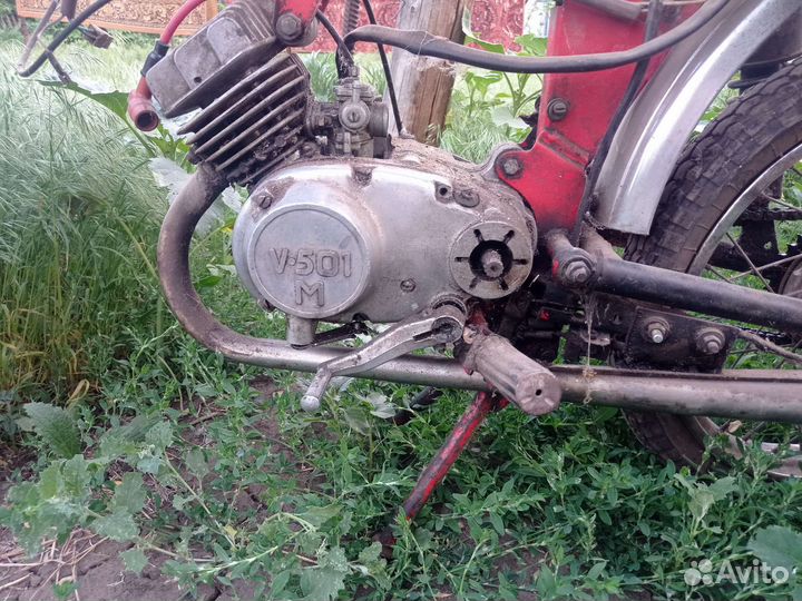 Карпаты спорт