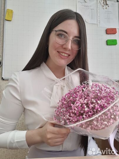 Репетитор по информатике огэ