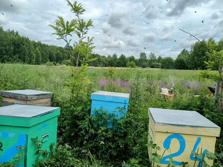 Участок 15 сот. (ИЖС)