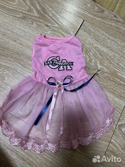 Одежда для собак