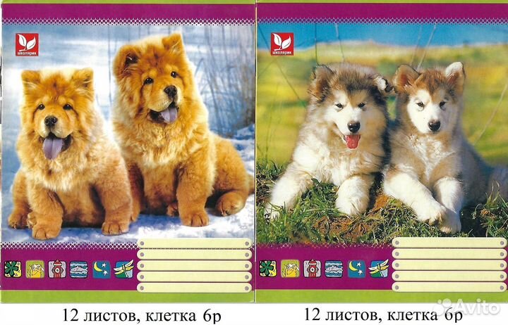 Тетради 12,18,48,96 листов и прописи