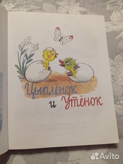 Сутеев сказки и картинки