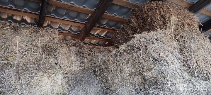 Сено в тюках