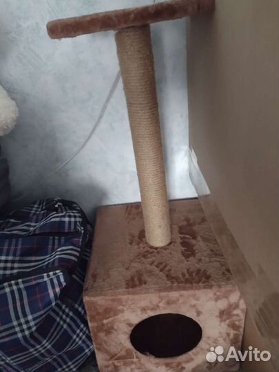 Когтеточка домик для кошки