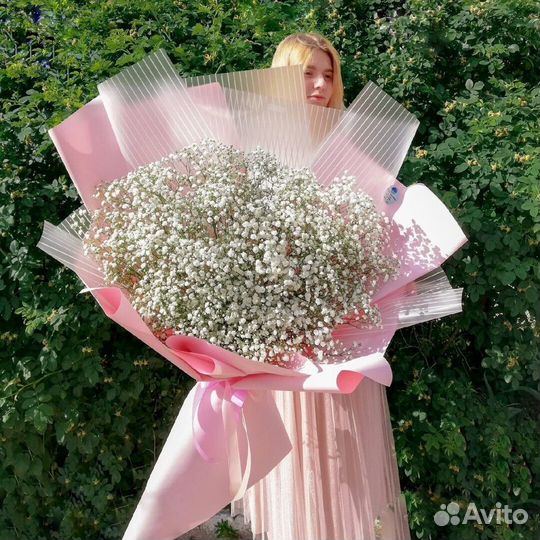 Гипсофила радужная