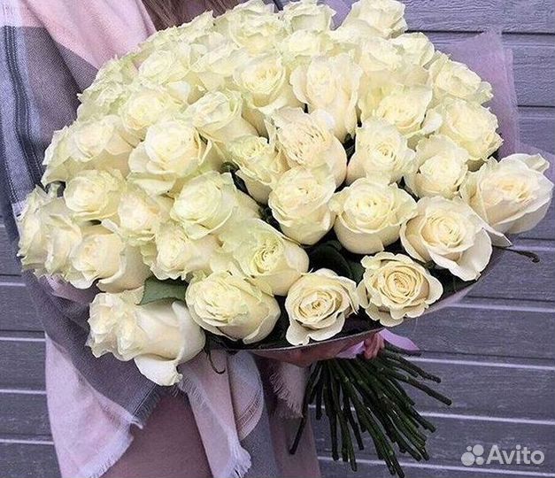 Розы Букеты Цветы Розы 31 101 151 201 Доставка