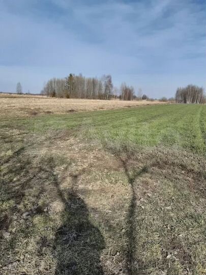 Участок 55 сот. (ИЖС)