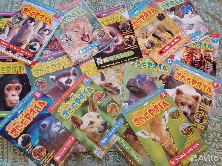 Твои весёлые друзья зверята BBC