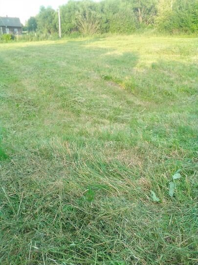 Участок 15,5 сот. (ИЖС)