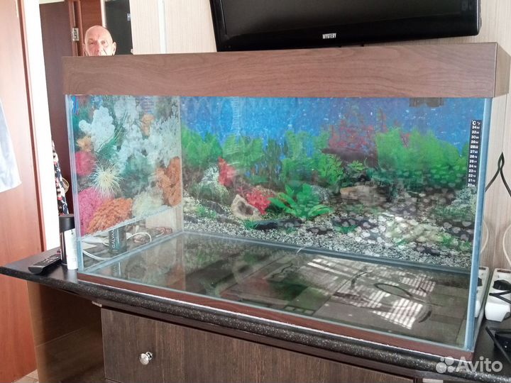 Аквариумные рыбки