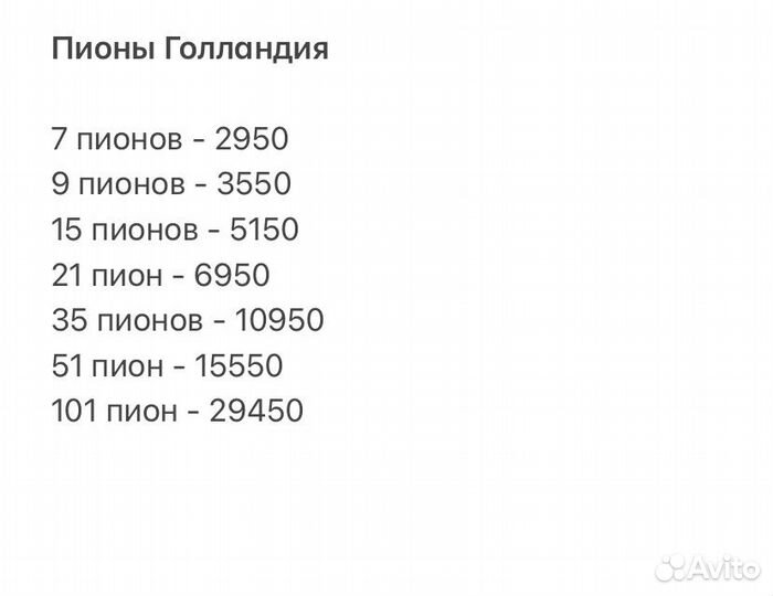 Букет пионов доставка