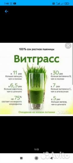 Сок ростков пшеницы (витграсс)