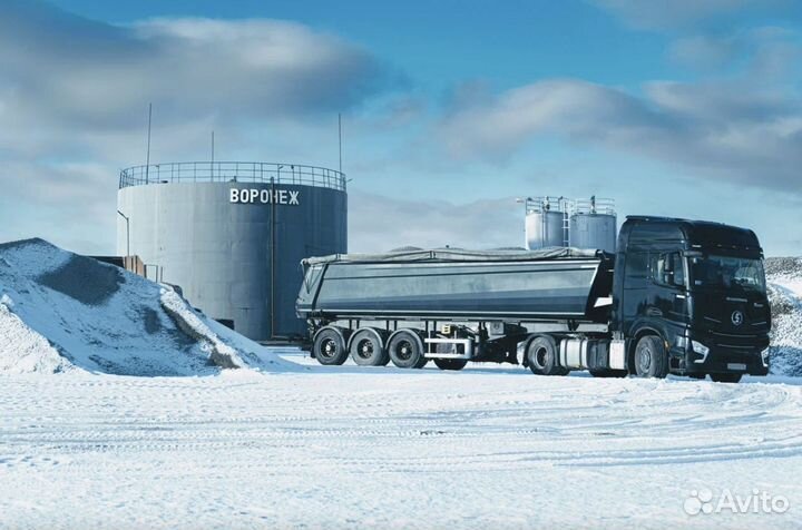 Полуприцеп самосвальный Bonum 914296-01, 2024