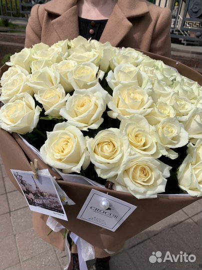 51 белая роза