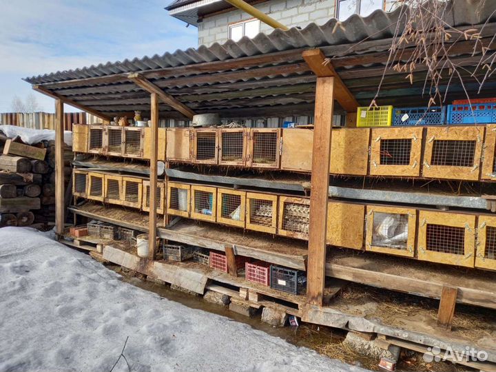 Клетка для кролика,кур