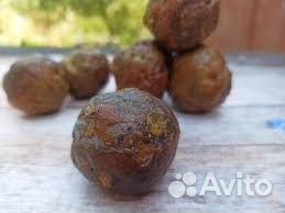 Прополис пчелиный