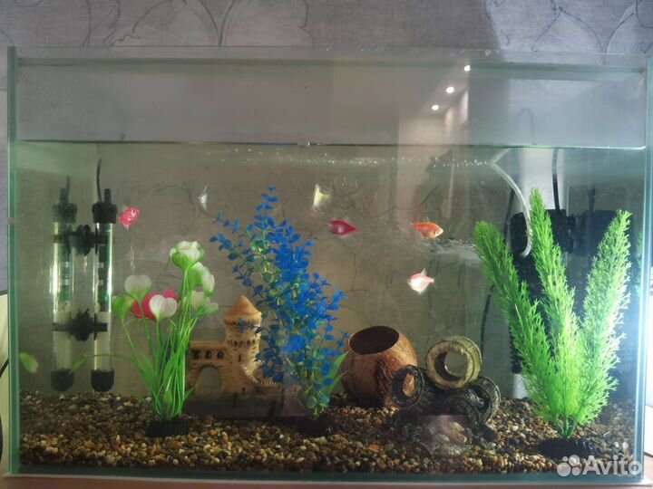 Аквариум