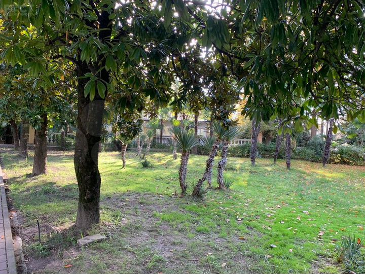 Продам торговое помещение, 88 м²