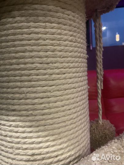 Когтеточка с домиком