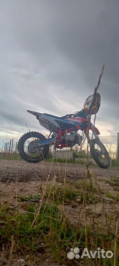 Apollo dt 125
