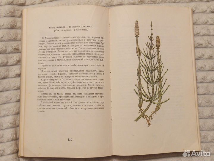 Лекарственные растения (В. Флоря 1975г.)