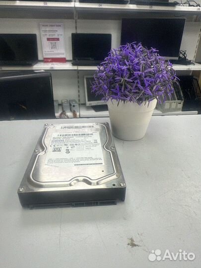 Жесткий диск Samsung 1000gb 1TB HD103UI