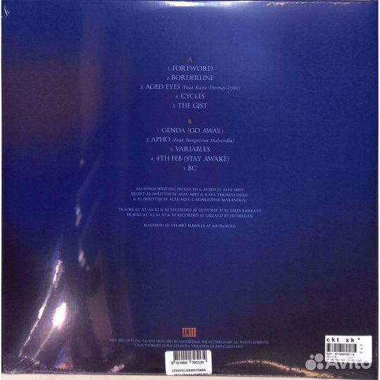 Alfa Mist – Variables (LP + art print)