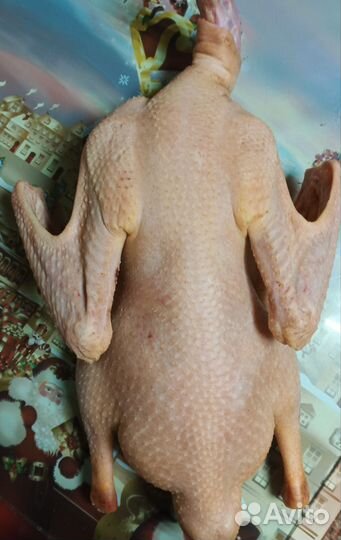 Мясо утки и гуся, гусиный жир