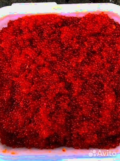 Красная икра - 2023 оптом