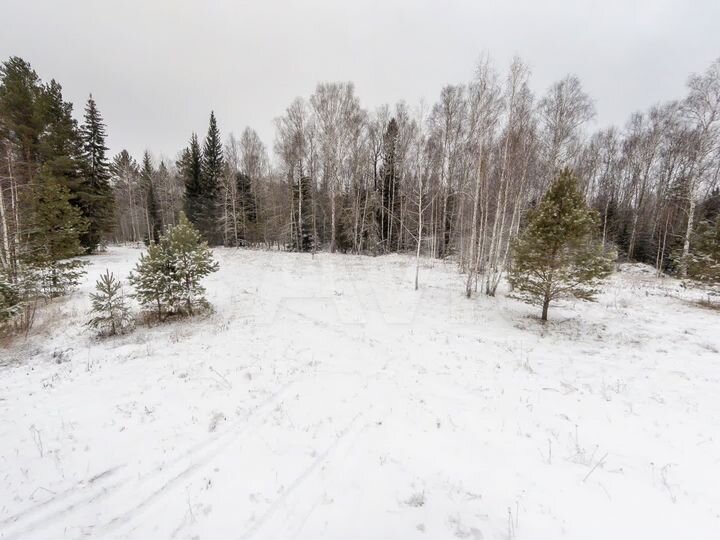 Участок 8 сот. (СНТ, ДНП)