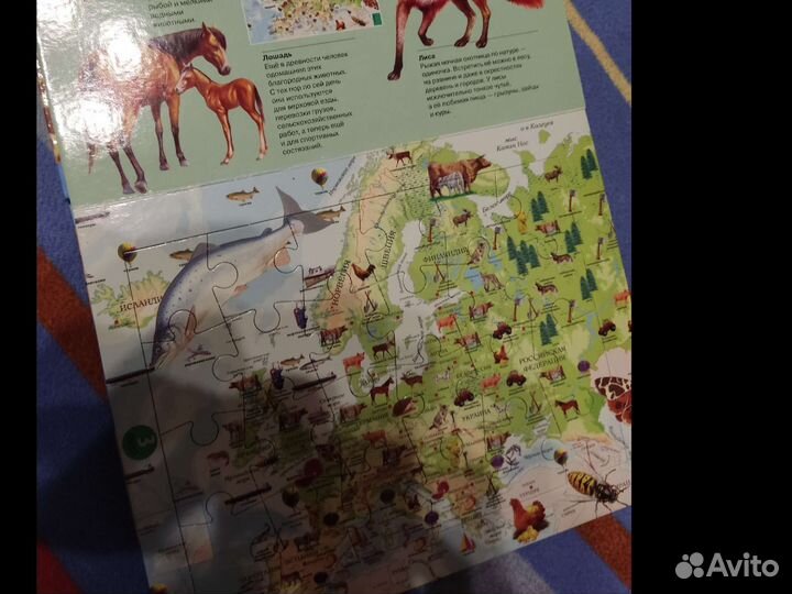 Атлас животных с пазлами