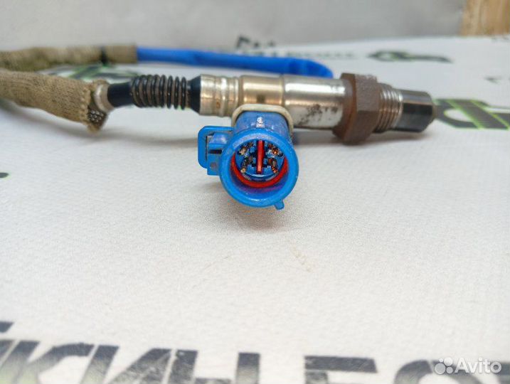 Датчик кислородный Ford Focus хэтчбек 5дв 1.6