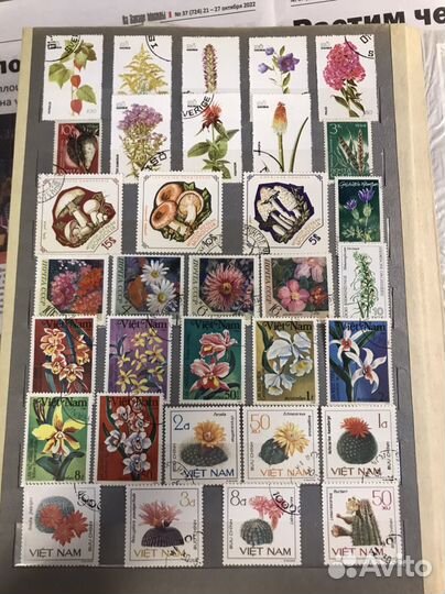 Альбом с марками растения животные