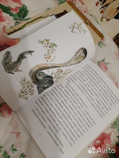 Книги для детей пакетом