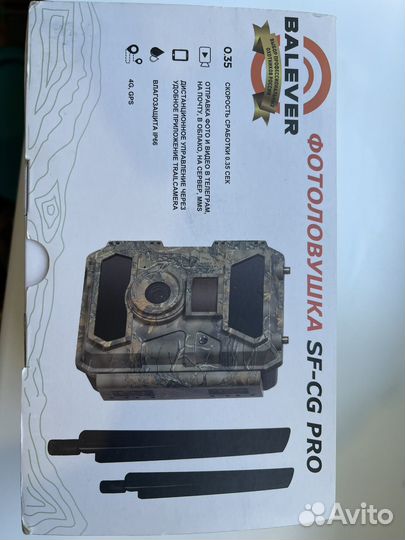 Фотоловушка