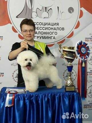 Стрижка собак