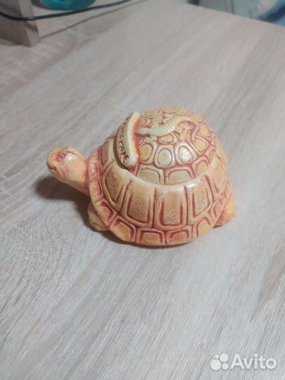 Шкатулка черепашка