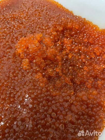 Икра красная 2023года