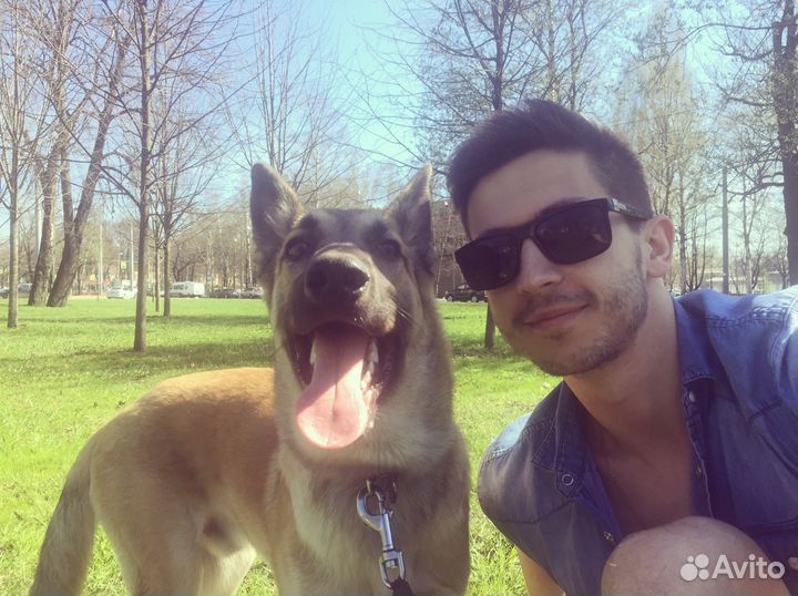 Коррекция поведения,воспитание,дрессировка,кинолог