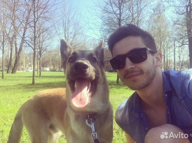 Коррекция поведения,воспитание,дрессировка,кинолог